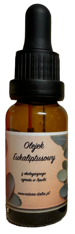Eucaliptus włoski.png